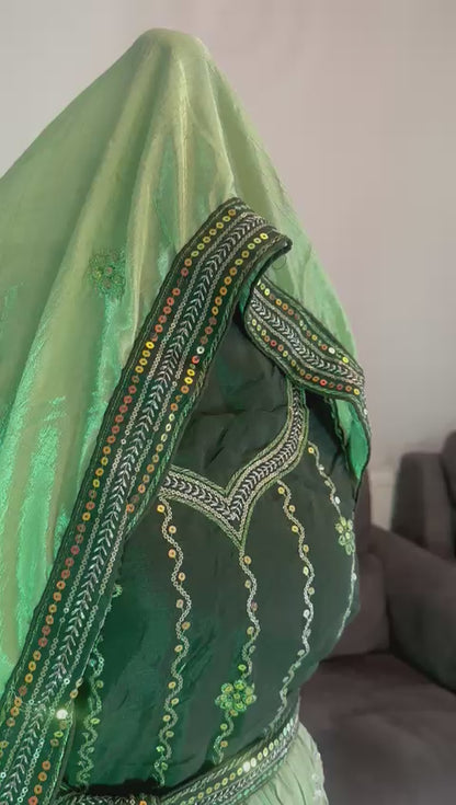 Pistachio & Olive Ombré Lehenga Set. Semi - Stitched.